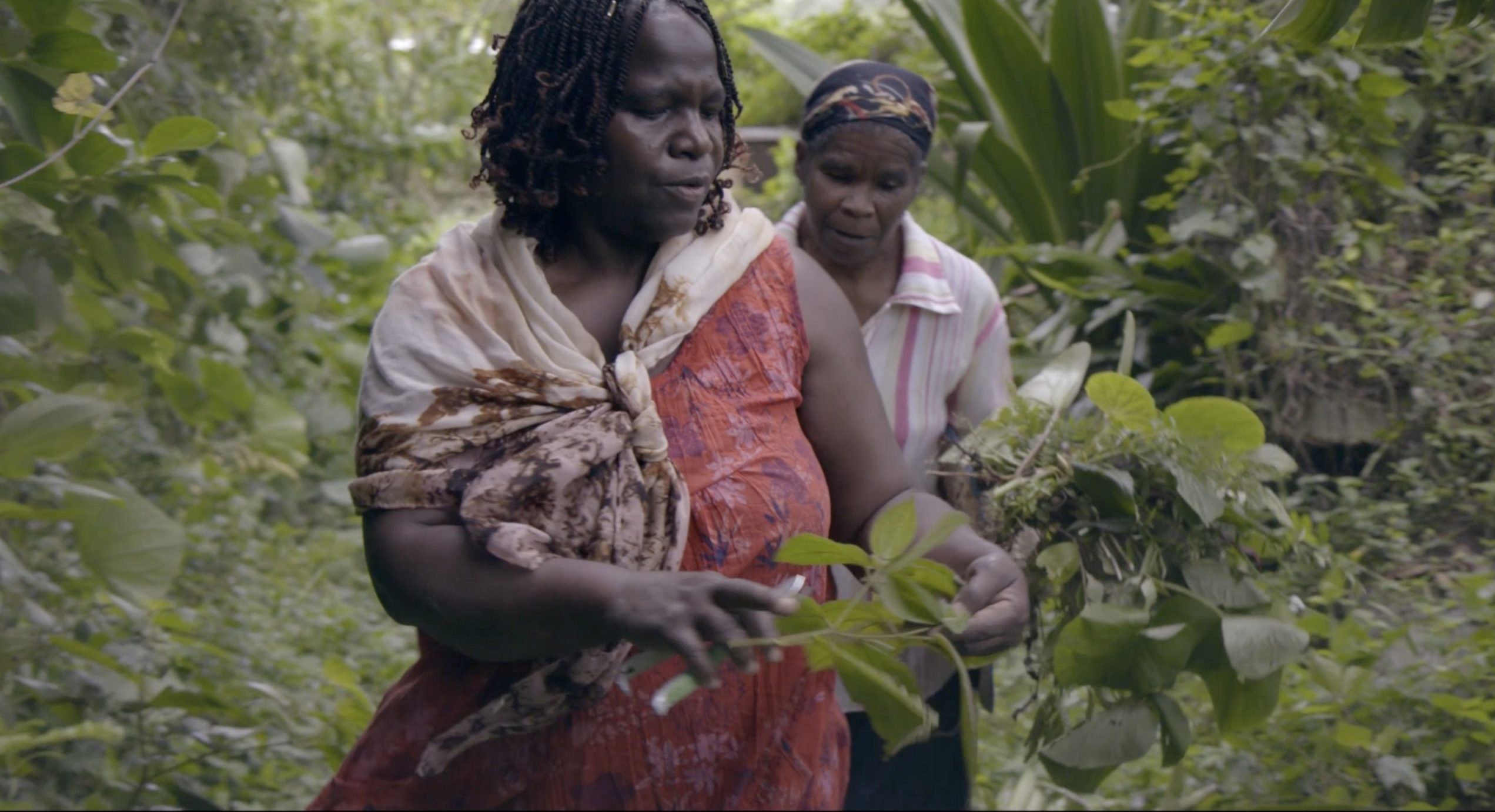 Mardi 9 décembre 2025 à 20h30 au cinéma Le Brady • Projection de « Tu crois que la terre est chose morte » de Florence Lazar suivie d&rsquo;une rencontre avec la réalisatrice